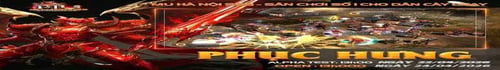 Giới thiệu Mu Online - MU HÀ NỘI SS6